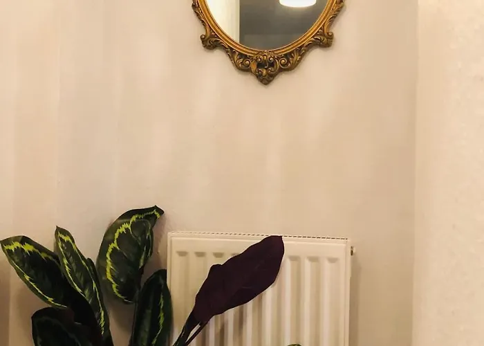 Lido's View - Free Parking